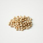 Spanish Green Broad (Fava) Bean Seeds - 50g