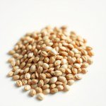 Sunflower Seeds 20g