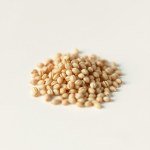 Loofah (Luffa Sponge Gourd) Seeds 15g