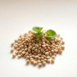 Mint Seeds 10g