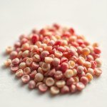 Sweet Pea Flower Seeds 5g