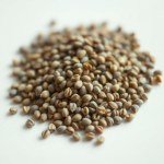 بذور ريحان 25جم