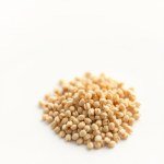 Immortelle Seeds 5g