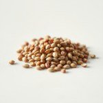 Seeds 9 g
