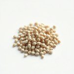 Seeds - 5 g