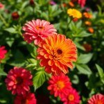 Seeds Flowers - 4 g