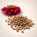 Seeds Flowers - 4 g
