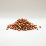 Seeds 7 g