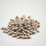Seeds Flowers - 10 g