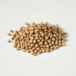 Seeds 5 g