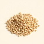 Seeds 7 g