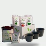 Green April Box