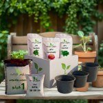 Green April Box