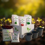 Green April Box