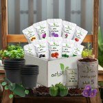 Agricultural Sciences Box