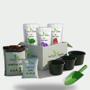 بوكس ابدأ زرعتك