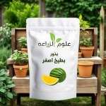 Yellow Watermelon