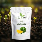 Yellow Watermelon
