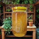 Honeycomb Honey