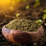Thyme Dukkah Mix