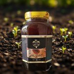 Egyptian Mountain Sidr Honey