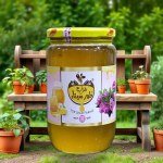 Clover Blossom Honey