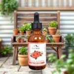 Hibiscus Oil 50ml