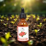 Hibiscus Oil 50ml