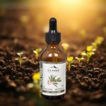 Tea Tree Pure Oil 50ml