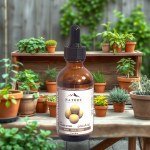 Colocynth Oil 50ml
