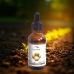 Colocynth Oil 50ml
