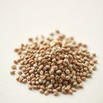 Flax Seed Oil 50ml