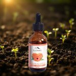 Calendula Oil 50ml