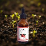 Chili Oil 50ml