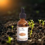 Bran Rice Oil 50ml
