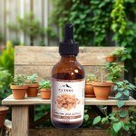Frankincense Oil 50ml