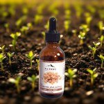 Frankincense Oil 50ml