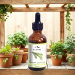 Horsetail Oil 50ml