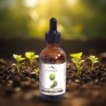 Sidr Oil 50ml