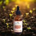 Wheat Germ Oil 50ml