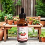 Rosehip Oil 50ml