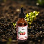 Rosehip Oil 50ml