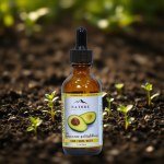 Avocado Oil 50ml