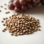 Grape Seed Oil 50ml
