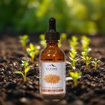 Sesame Oil 50ml