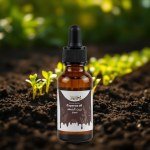 Nutgrass Oil 30ml