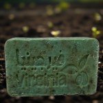 Rosemary Soap