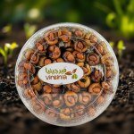Almond Dates 450g