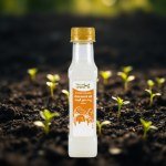 Coconut Oil 125ml