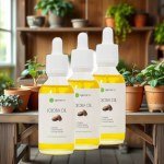 Triple Pack Jojoba Oil – 60ML